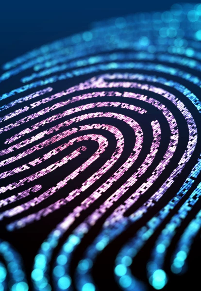 digital blue and red fingerprint