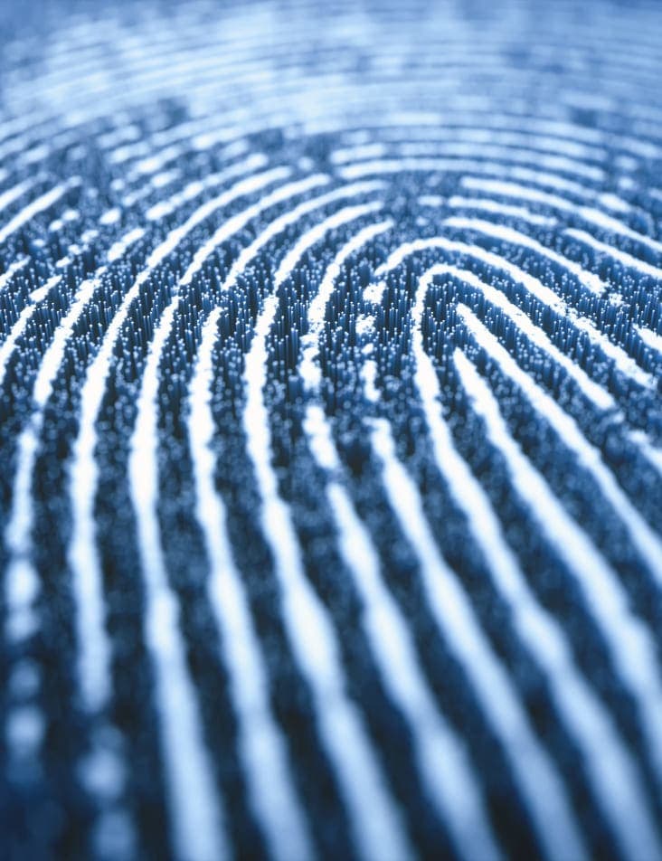 blue fingerprint design